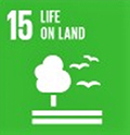 Mapping with Sustainable Development Goals Image