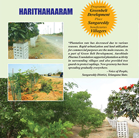 Annual Report image