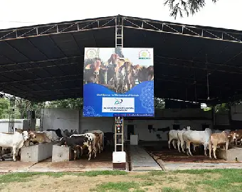 Event Iamge