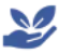 Program Image